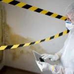 Yellow Mold: What It Is, Why It Appears, and How to Get Rid of It