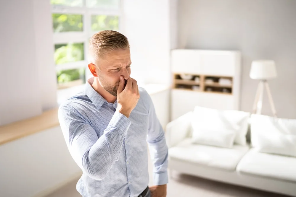 How to Get Rid of Mold Smells in Your Home
