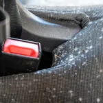 How to Remove Mold from Car Interior: A Complete Guide