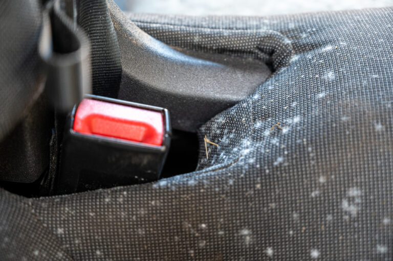How to Remove Mold from Car Interior: A Complete Guide