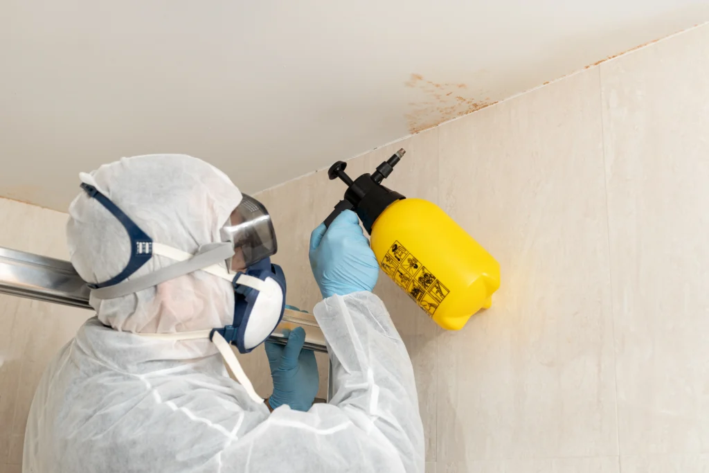 Professional cleaner cleaning mold in a bathroom wearing a protective suit - ETA Mold in Florida - Mold testing - Mols inspection - How to Test for Mold in House: A Complete Guide for Homeowners