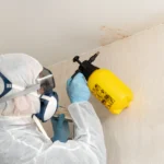 How to Test for Mold in House: A Complete Guide for Homeowners