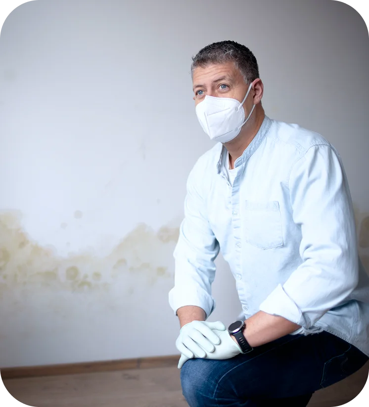 contact us for expert mold testing services