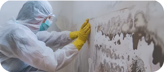 Detailed mold inspection and air quality testing process — contact us today for reliable mold inspection