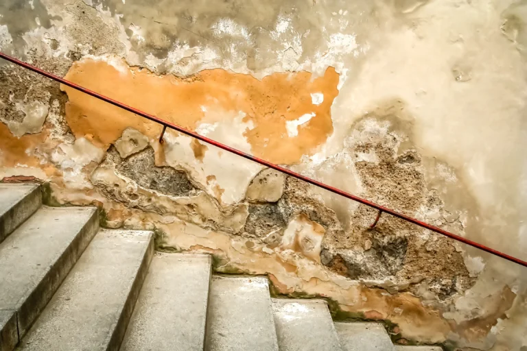 How to Get Rid of Mold in Basement