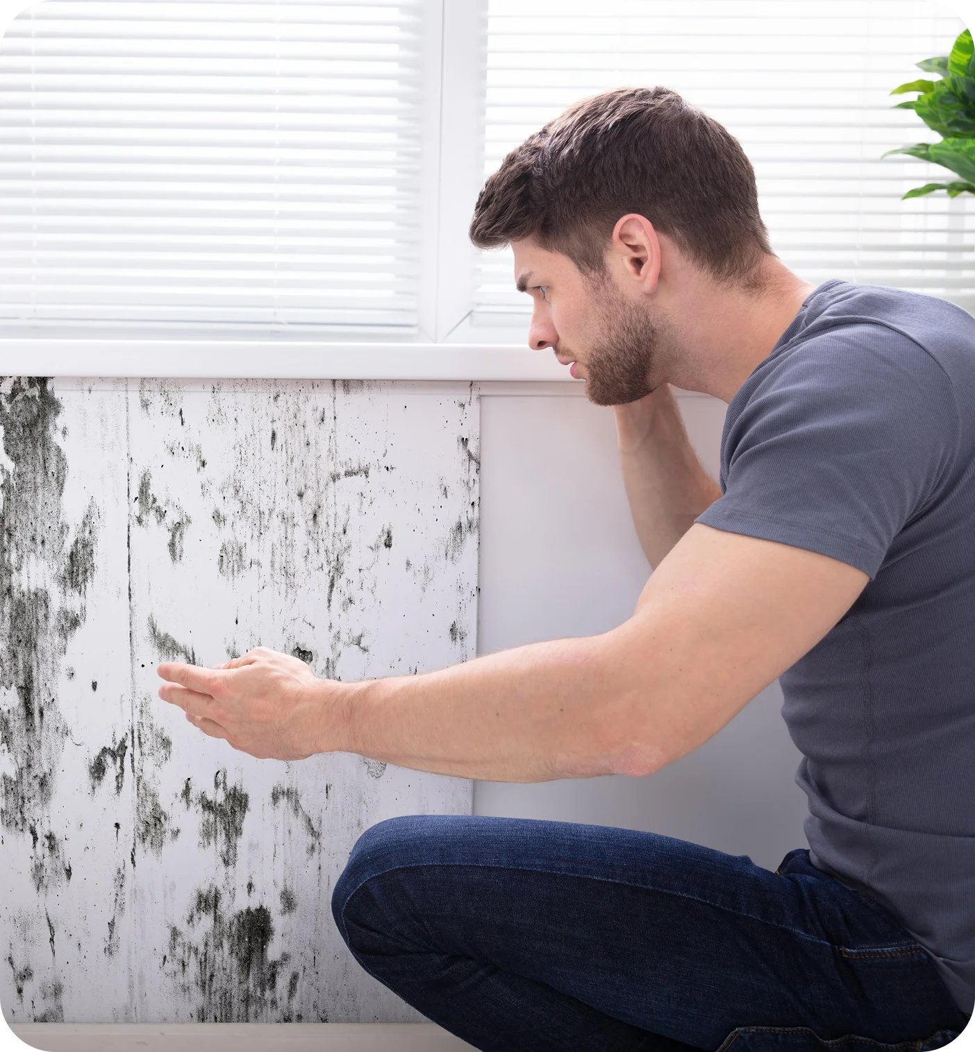 Mold inspection