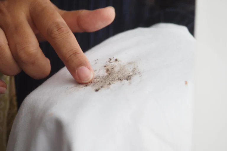 How to Remove Mold From Clothes: A Complete Step-by-Step Guide