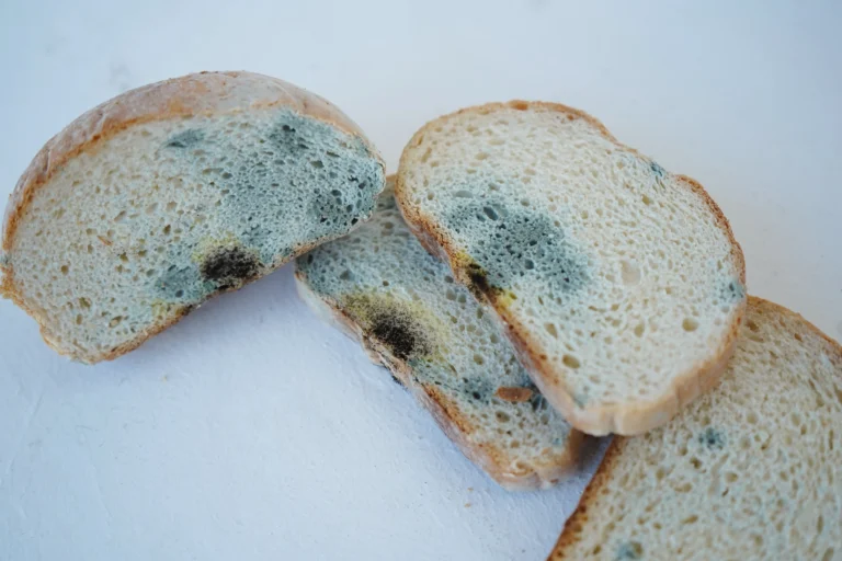 What Should I Do If I Accidentally Ate Mold?
