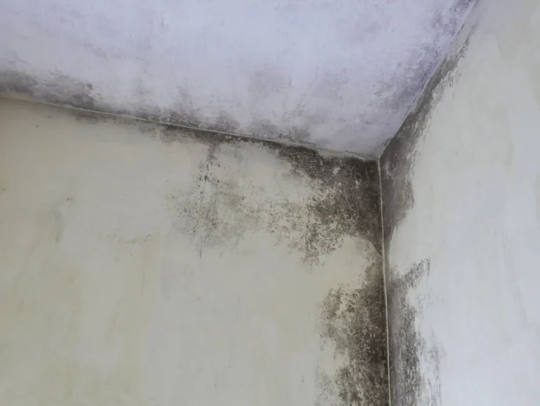 How to Get Mold Off Bathroom Ceiling?