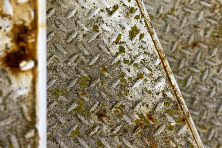Can Mold Grow on Metal? Signs, Health Effects & Removal