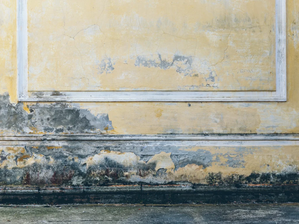 Peeling paint on distressed urban wall - distressed urban wall with peeling paint - How to Remove Mold From Painted Walls
