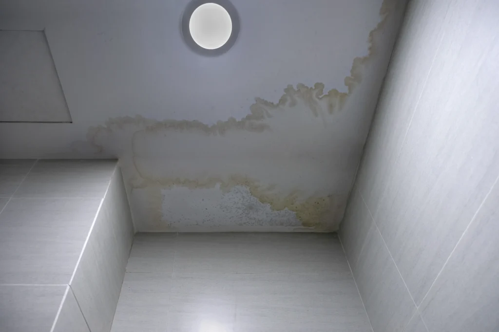How to Get Rid of Mold in Bathroom Ceiling? 2 interior ceiling showing water stains in bathroom - How to Get Rid of Mold in Bathroom Ceiling?