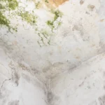 mold and damage on white wall and ceiling - How to Get Rid of Mold in Bathroom Ceiling?