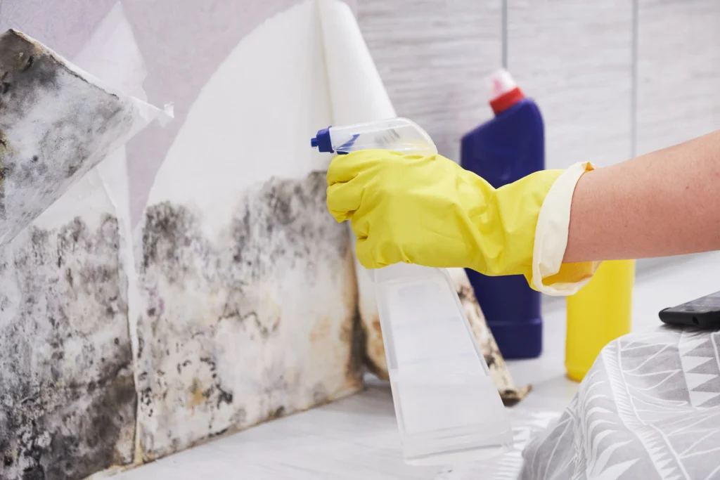 How to Get Rid of Mold in Bathtub? A Complete Guide 1 mold removal in home bathroom interior - How to Get Rid of Mold in Bathtub? A Complete Guide - ETA Mold
