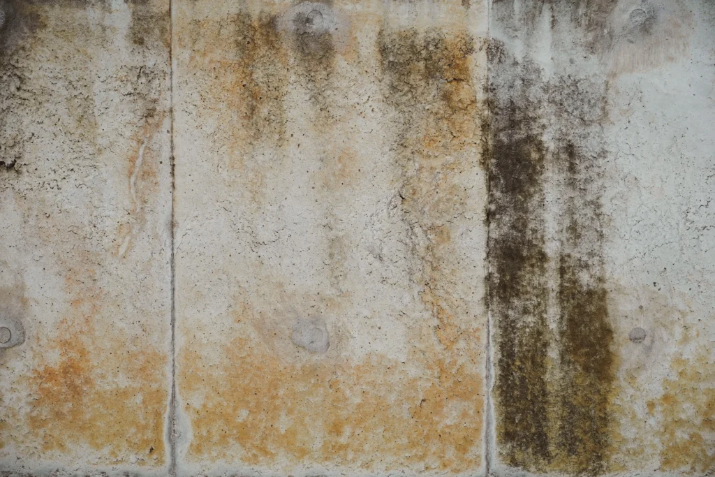 grunge concret wall texture with brown stains - Does Steam Kill Mold? A Complete Guide