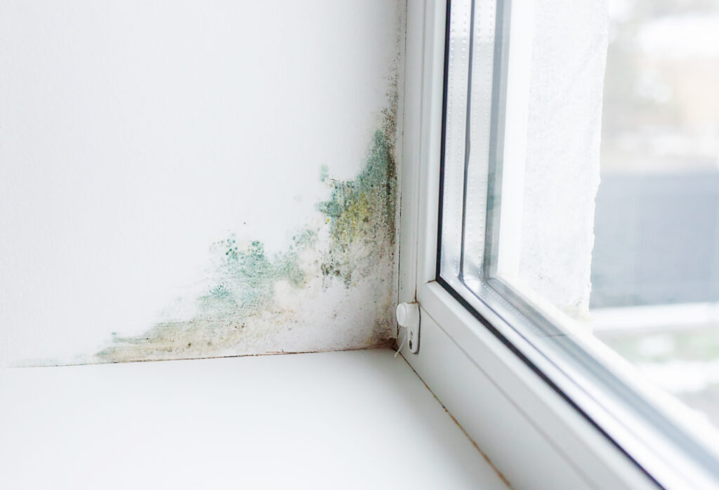 mold growth on wall near windows - Can Mold Grow on Plastic? Causes, Prevention, and Removal