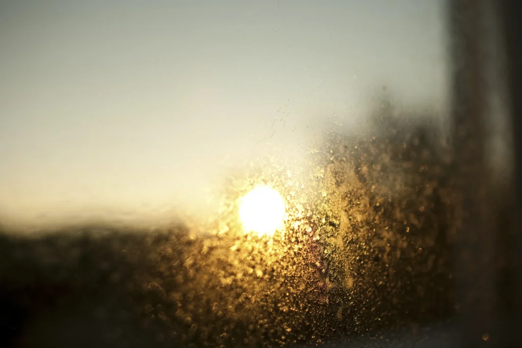 sunset behind textured glass winfow abstract - Does Sunlight Kill Mold?