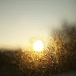 sunset behind textured glass winfow abstract - Does Sunlight Kill Mold?