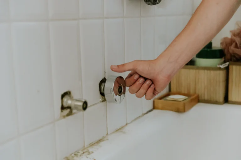 How to Clean Shower Mold?