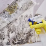 mold removal with spray bottle and yellow gloves - Does Lysol Kill Mold?