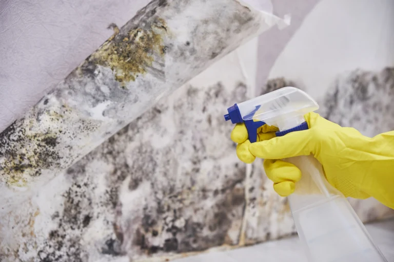 Does Lysol Kill Mold?