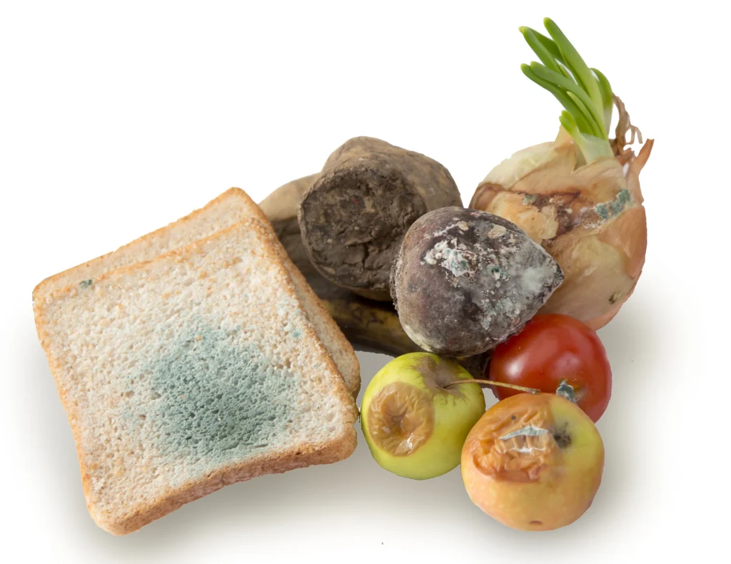 What Happens If You Eat Mold? A Complete Guide 1 spoiled vegetable and bread with mold on white - What Happens If You Eat Mold? A Complete Guide