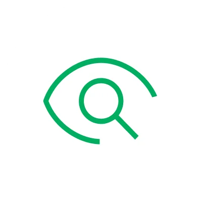 Visual and Thermal Inspection Icon