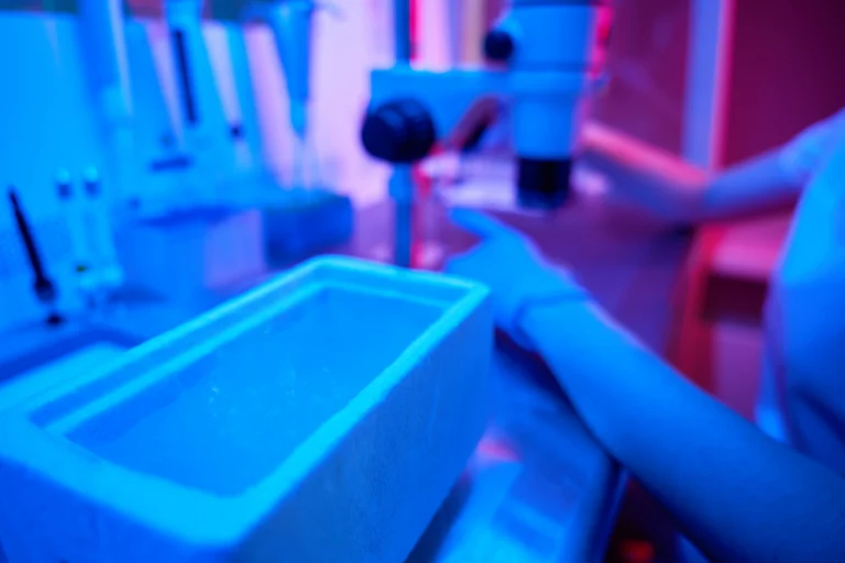 Does UV light kill mold?