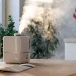 humidifier with steam on a desk - Do Humidifiers Cause Mold? What You Need to Know