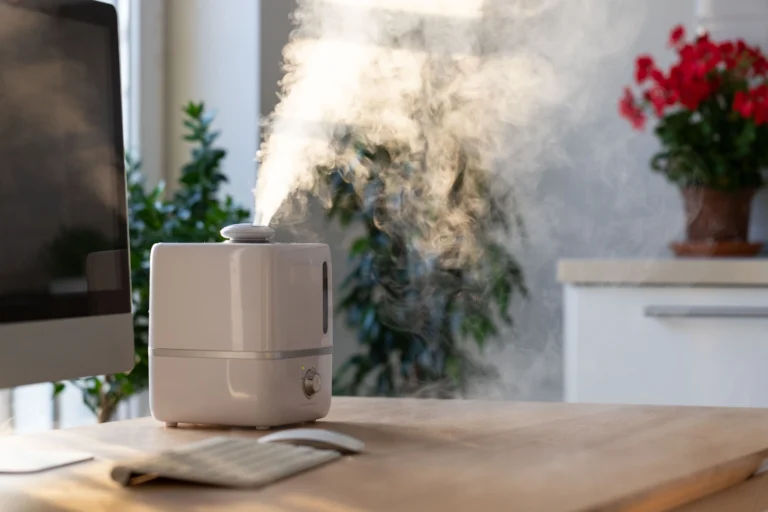 Do Humidifiers Cause Mold? What You Need to Know