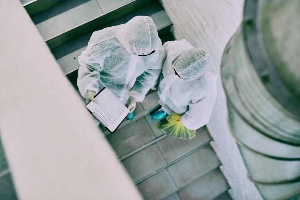 How Much Does It Cost for a Mold Inspection?