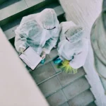 How Much Does It Cost for a Mold Inspection?
